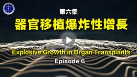 铁证如山系列讲座 第六集