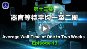 第十三集 器官等待平均一至二周
