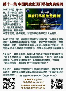 铁证如山 第11集2