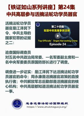 铁证如山 第24集1