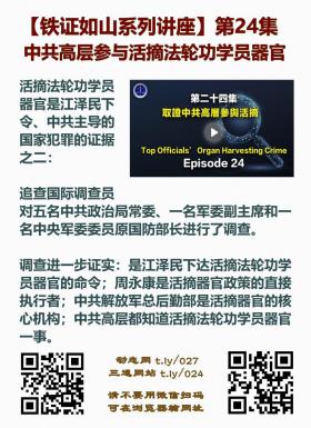 铁证如山 第24集2