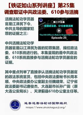 铁证如山 第25集1