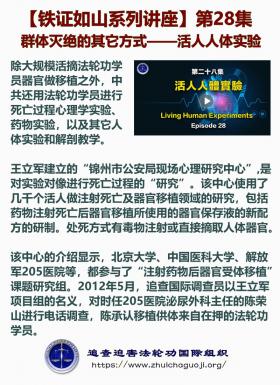 铁证如山 第28集1