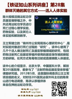 铁证如山 第28集2