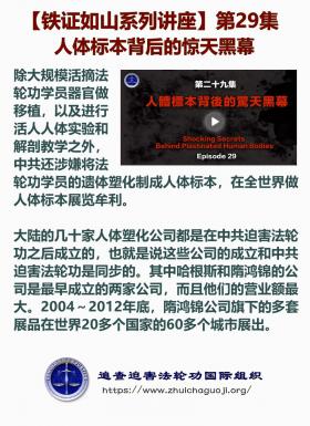 铁证如山 第29集1