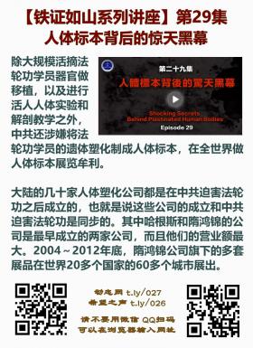 铁证如山 第29集2