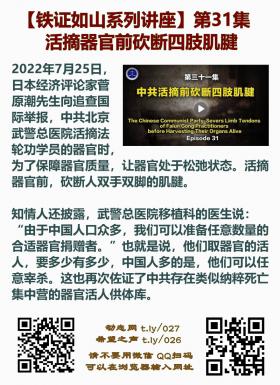 铁证如山 第31集2