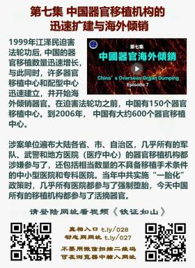  铁证如山 第7集2 