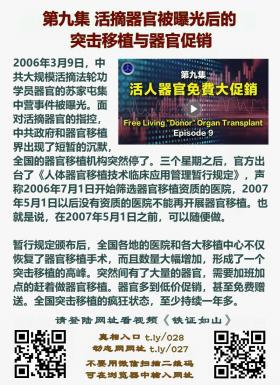 铁证如山 第9集2